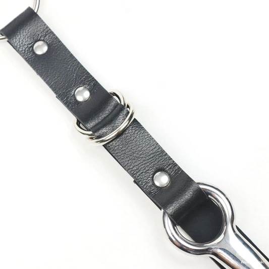 Hook Kinky Leash Collar EverydayUse with 5853 and Anal 0730
